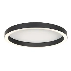 ceiling luminaire RINGLUX IP20, dimmable