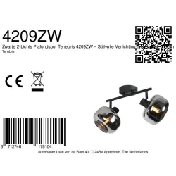 wall luminaire TENEBRIS 2 flames E14 IP20, black dimmable