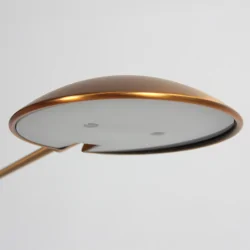 LED Stehleuchte DAPHNE 2, 1-flammig, 10W, 2200-4000K, 1200lm, IP20, bronze