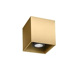 Deckenstrahler BOX CEILING SURF 1.0 PAR16, 1-flammig, max. 12W GU10 100-240VAC, champagner