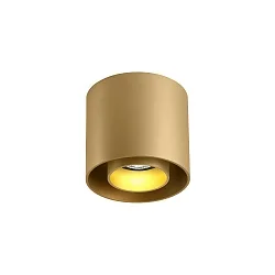 spot RAY CEILING SURF 1.0 PAR16 GU10 IP20, champagner dimmable