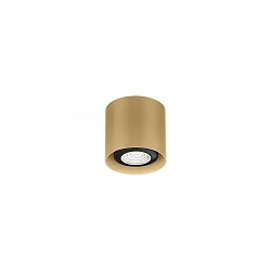 Deckenspot RAY MINI CEILING SURF 1.0 PAR16 M max. 12W GU10 100-240VAC, champagner