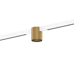 track spot RAY ON STREX 1.0 IP20, champagner, black matt dimmable