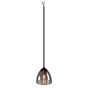SLV Pendelleuchte PARA CONE GL GU10, transparent, schwarz