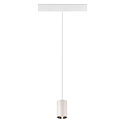SLV LED Pendelleuchte NUMINOS� XS TRACK 48V, 55�, 8,7W, CRI90, DALI, IP20, 2700K, 670lm, wei�/chrom