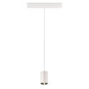 SLV pendant luminaire NUMINOS� XS TRACK 48V DALI controllable IP20, chrome, white dimmable