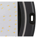 LED Aufbauleuchte OUTDOOR BULKHEAD V 360, IP65 IK10, � 36cm, 20W 3000/4000/6500K 110�, CRI 80, schaltbar, schwarz