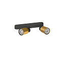 SLV wall and ceiling luminaire PURI 2.0 - TUBE 2 flames, asymmetrical GU10 IP20, gold, black dimmable