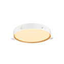 SLV LED Wand- und Deckenleuchte DECONA PHASE, rund, 23W 2700/3000K (CCT Switch), dimmbar, schwarz / gold