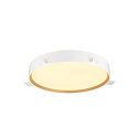 SLV ceiling luminaire DECONA 42 CL round, suitable for VDU workstation IP44, gold, black, lacquered dimmable