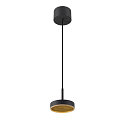 pendant luminaire GRIP! FLAT IP20, gold, black dimmable