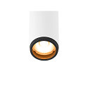 SLV ceiling luminaire GRIP!S DOUBLE suitable for VDU workstation IP20, black, white, lacquered dimmable