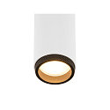 SLV ceiling luminaire GRIP!M SINGLE IP20, black, white, lacquered dimmable