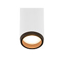 ceiling luminaire GRIP!M DOUBLE IP20, black, white, lacquered dimmable