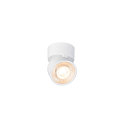wall and ceiling luminaire KALU 2.0 1 flame, suitable for VDU workstation IP20, white, lacquered dimmable