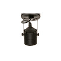SLV Ceiling-/Wall spotlight SPOT 79 230V black