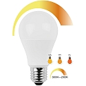 HWH LED SMD Lampe A60, 200�, E27, 10W, 2000-3000K, 810lm, DTW