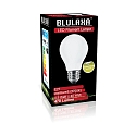 HWH LED Birnenlampe, E27, 4.5W 2700K 470lm, Glas opal