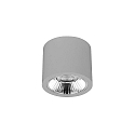 downlight APOLLO MAXI round, DALI controllable, faceted IP20, powder coated, silver dimmable