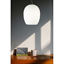 pendant luminaire ANUA 1 flame E27 IP20, brushed aluminium, matt, opal white dimmable