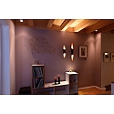 Deko-Light LED Wandleuchte APODIS 500, H�he 50cm, 9W 3000K 350lm 40�, dimmbar, Ros�gold