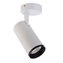 ceiling luminaire LUCEA TILT 20 CCT Switch, adjustable IP20, transparent, traffic white dimmable