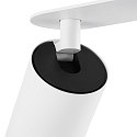 recessed spotlight CAN TILT ROUND DOUBLE 2 flames, round, cardanic swivelling GU10 IP20, white