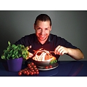 Deko-Light Deko-Light Flexible LED Stripe, COB-840-24V-RGB-5m