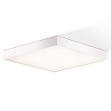 ceiling luminaire CUT 40 N IP44, white matt dimmable