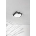 Fabas Luce LED Au�endeckenleuchte DIUK, 12W, 3000K, 1620lm, IK08, IP65, dunkelgrau