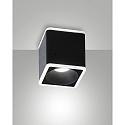 surface luminaire COIBA square IP20, satined, black
