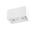 ceiling luminaire TECTO 2 flames GU10 IP20, white matt 