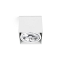 ceiling luminaire TECTO G53 IP20, white matt 