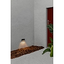 Faro Outdoor LED Wandleuchte MUST 158 2W, 3000K, IP65, dunkelgrau