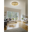 Helestra LED Deckenleuchte SONA, IP20, � 59.5cm, 2-fach, 60W 2900K 4690lm, dimmbar, Stahl / Acryl, blattgold