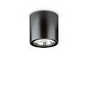 Downlight MOOD ROUND QPAR111, � 15cm, incl. GU10 50W 2700K, pivotable, black