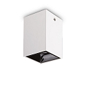 ceiling luminaire NITRO square IP20, black, white 