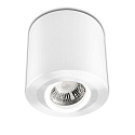 Ceiling luminaire for GU10 / MR16, round, IP20, swivelling, excl. socket, excl. lamps, white