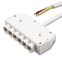 distributor RGB
