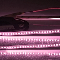 LED Strip CRI FOOD FLEX MEAT 2-pole white