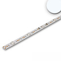 LED module BACKLIGHT 865 DIM - 117.5CM for VDU workstation, 2-pole, with lens optics 16W 1175lm 6500K 180� CRI 80-89 dimmable