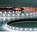 LED Strip SIL RGB+WW+KW CCT - 5IN1 CCT Switch, RGBW