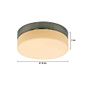 Steinhauer Outdoor LED Deckenleuchte IKARO, IP44, zylindrisch, � 18cm, 12W 2950K 960lm, dimmbar, Mattglas, stahl geb�rstet