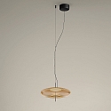pendant luminaire PLAT SURFACE (PHASE) with shade, CCT Switch, adjustable, with diffuser IP20