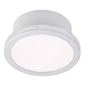ceiling luminaire AQUA UNO round, CCT Switch, switchable GX53 IP44, silver leaf 