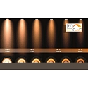Lucide LED Deckenstrahler TAYLOR Badezimmerleuchte, GU10, 4x5W 2200K/3000K, dimmbar, IP44, schwarz