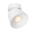 spot TRIGONO PAR16 1 flame, adjustable, conical GU10 IP20, white dimmable