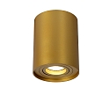 spot TUBE cylindrical, swivelling GU10 IP20, gold matt, brass