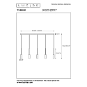 Lucide pendant luminaire TUBULE LED 5 flames, square IP20, black 