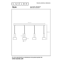 Lucide pendant luminaire TEUN 4 flames E27 IP20, nickel, black